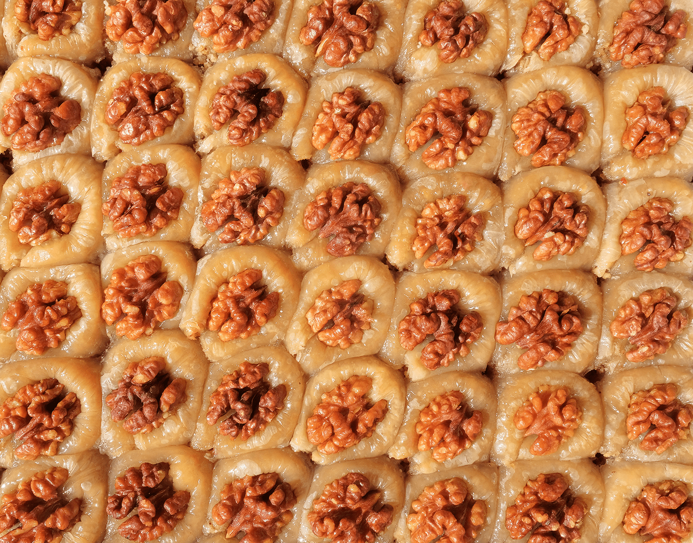 Opera – Walnut & Fig