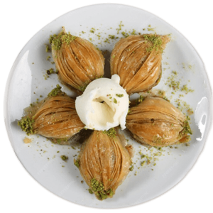 Allegra – Apple & Walnut